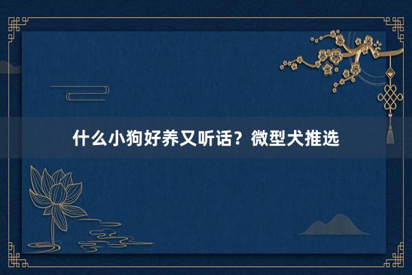 什么小狗好养又听话？微型犬推选