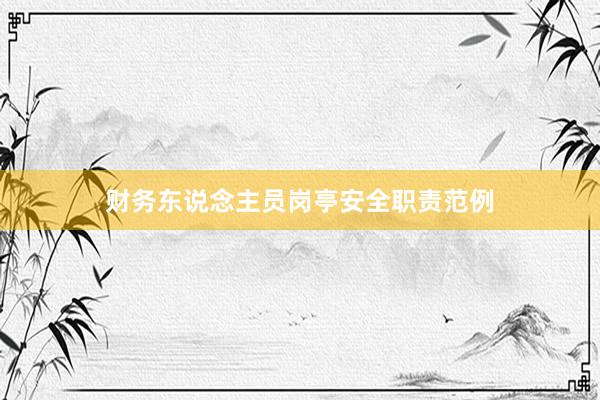 财务东说念主员岗亭安全职责范例