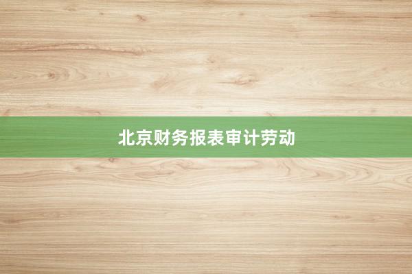 北京财务报表审计劳动